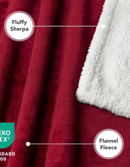 Load image into Gallery viewer, Puppy Dog Blanket | Pet Blanket Small Dog Indoor Cat Kitten | Fleece Sherpa Throw Doggy Blanket Crate Couch Sofa Bed | Soft Plush Fuzzy Fluffy Lightweight Warm Cover, 29X40

