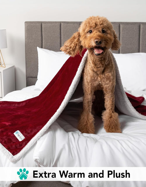 Load image into Gallery viewer, Puppy Dog Blanket | Pet Blanket Small Dog Indoor Cat Kitten | Fleece Sherpa Throw Doggy Blanket Crate Couch Sofa Bed | Soft Plush Fuzzy Fluffy Lightweight Warm Cover, 29X40
