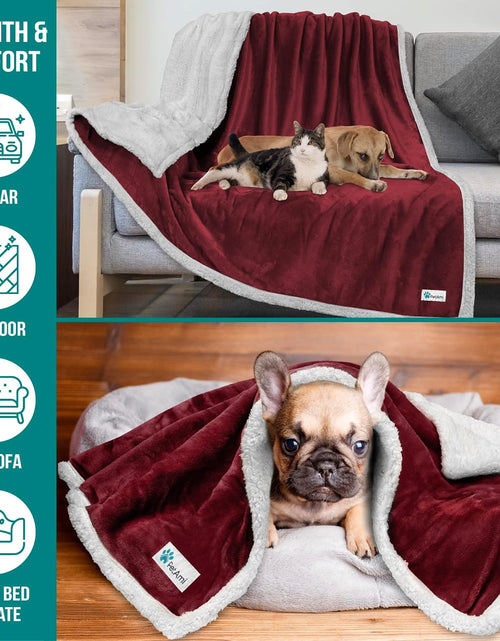 Load image into Gallery viewer, Puppy Dog Blanket | Pet Blanket Small Dog Indoor Cat Kitten | Fleece Sherpa Throw Doggy Blanket Crate Couch Sofa Bed | Soft Plush Fuzzy Fluffy Lightweight Warm Cover, 29X40
