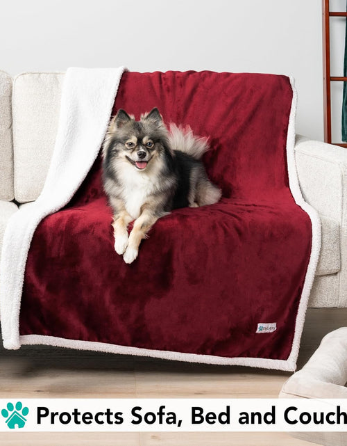 Load image into Gallery viewer, Puppy Dog Blanket | Pet Blanket Small Dog Indoor Cat Kitten | Fleece Sherpa Throw Doggy Blanket Crate Couch Sofa Bed | Soft Plush Fuzzy Fluffy Lightweight Warm Cover, 29X40
